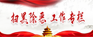 扫黑除恶工作专栏