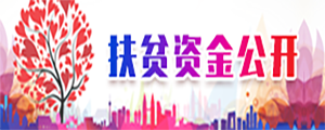 扶贫资金公开