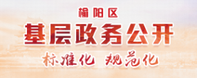 基层政务公开标准化规范化